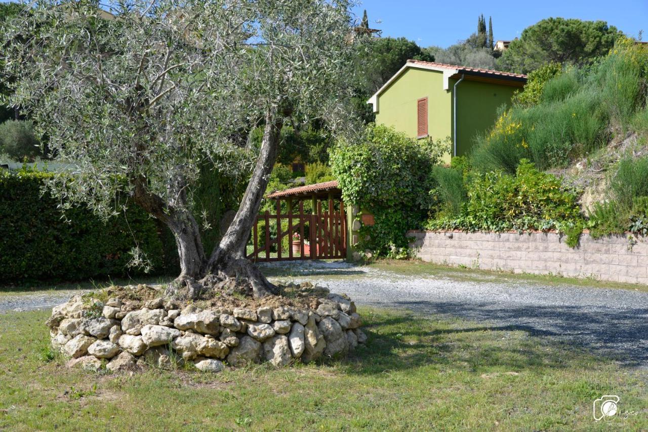 Casa Verde Country House Montescudaio Exterior foto